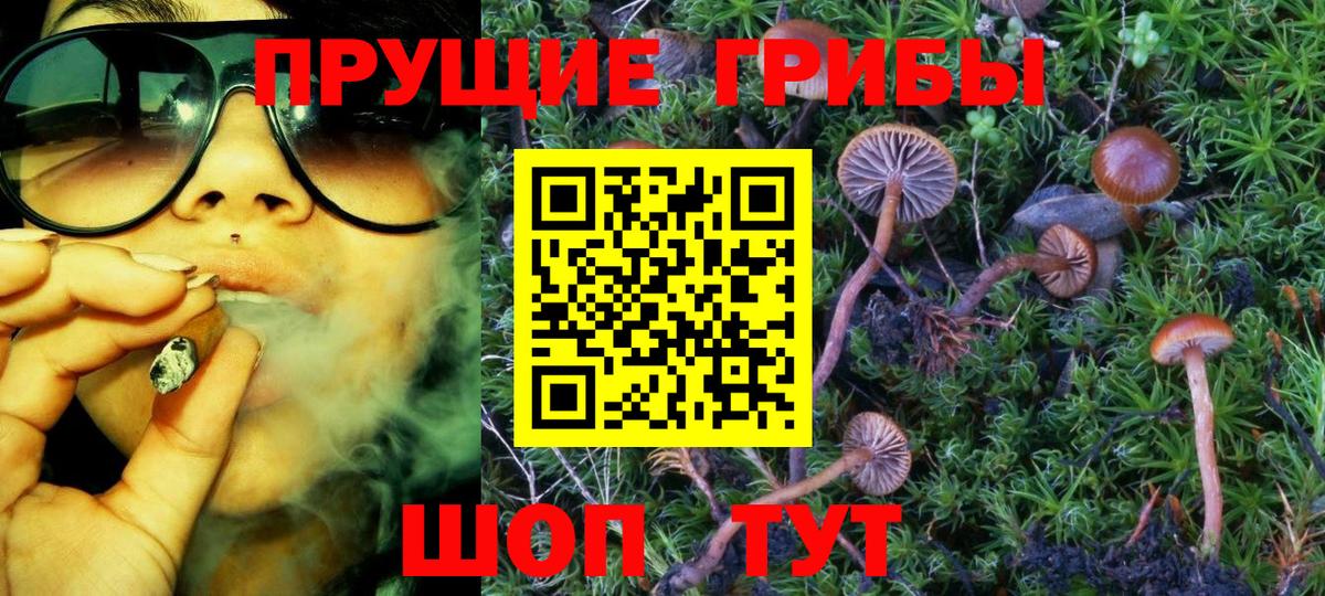 Унеча  Галлюциногенные грибы мицелий  Галлюциногенные грибы MAGIC MUSHROOMS  Вход с VPN 